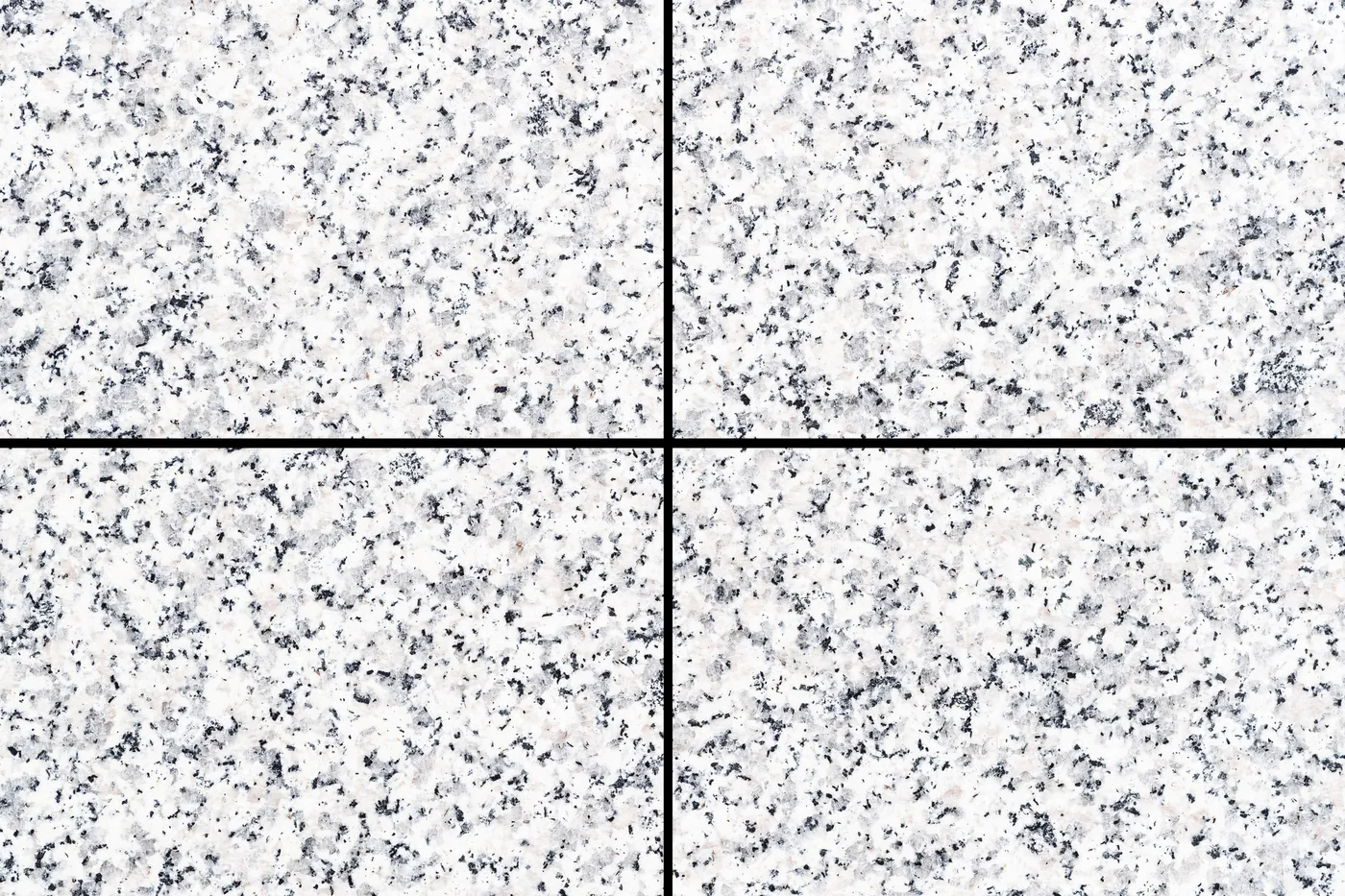 Terrazzo Polishing Service